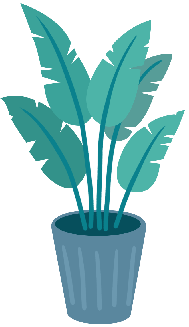 盆栽绿植绿色植物