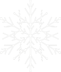 装饰雪花冬季大雪