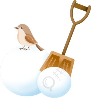 冬天雪球小鸟图片