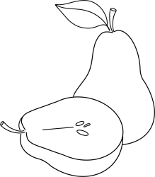 时令水果白梨线稿
