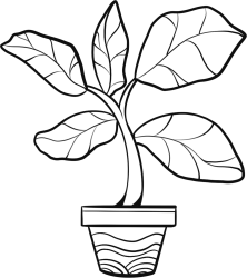 大叶子植物线条图片线稿