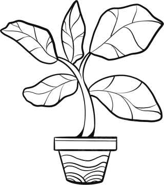 大叶子植物线条图片线稿