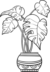 绿植大叶子植物线稿