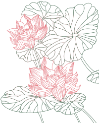 国风彩色荷花莲藕线稿