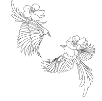 七夕成对喜鹊线稿