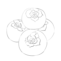 秋天柿子线稿