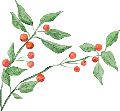红果绿叶植物花卉图片