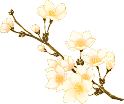 黄白色唯美花枝植物图片