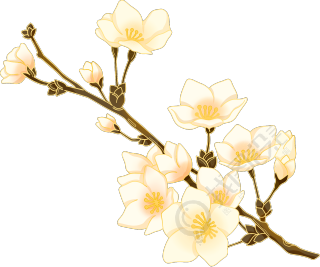 黄白色唯美花枝植物图片