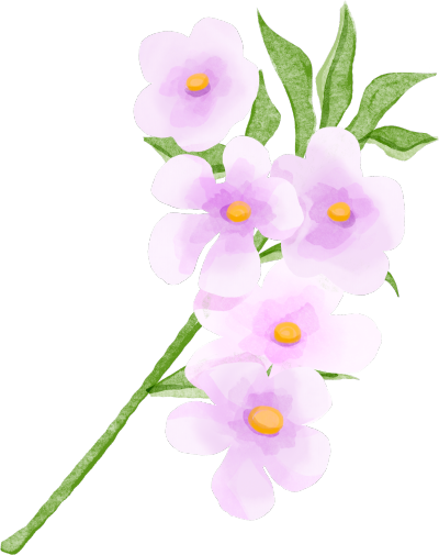 紫色花朵唯美花枝插画