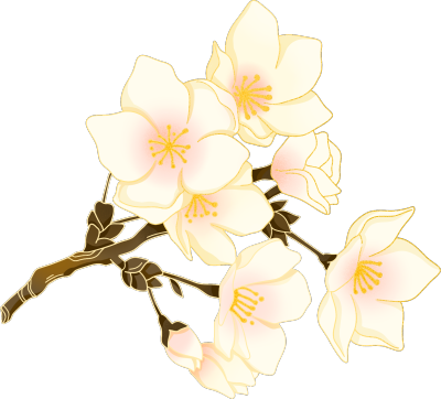 白色百合花枝花卉图片