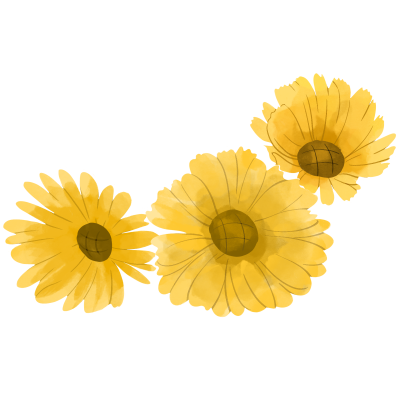 黄色向日葵花朵素材图片