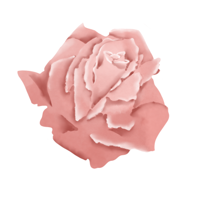 浪漫玫瑰花花朵素材图片
