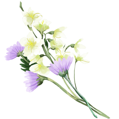 唯美百合花束花卉图片