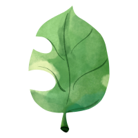 绿植绿叶植物叶子图片