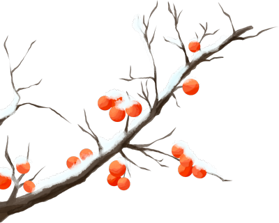 树枝积雪柿子图片