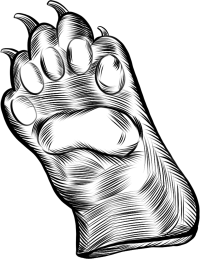 熊掌保护动物线稿元素