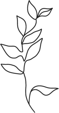 ins风线条树叶植物元素