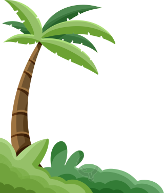 生机勃勃的椰子树热带草丛图片