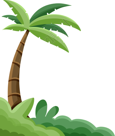 生机勃勃的椰子树热带草丛图片