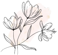 简约线描绽放的鲜花图片