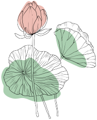 池塘荷花荷叶美景线描图片