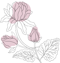 唯美牡丹花线描图片