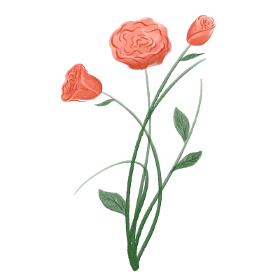 手绘姿态优美的玫瑰花图片
