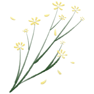春日漂亮的黄色小花手绘图片