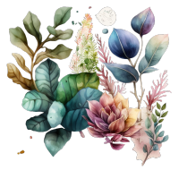 植物元素水彩插画高清PNG素材