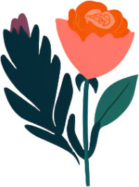简约插画玫瑰花PNG素材