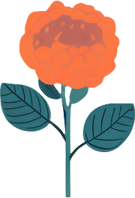简约插画玫瑰花PNG图形素材