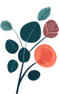 极简插画玫瑰花PNG图形素材