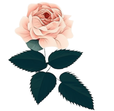 白色背景上的玫瑰花扁平化UI插画PNG素材