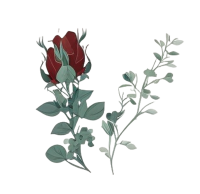 白色背景上的玫瑰花扁平化UI插画