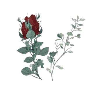 白色背景上的玫瑰花扁平化UI插画