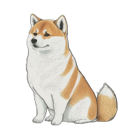 手绘柴犬PNG素材