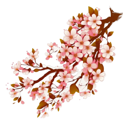 樱花枝头飘落的花瓣向量图