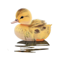可爱小鸭矢量插画素材