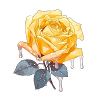 清新简约黄玫瑰花PNG素材