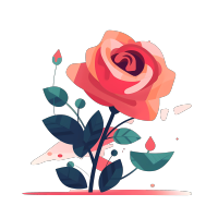 简约玫瑰花插画PNG素材