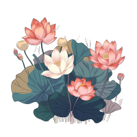 透明背景荷花插画素材
