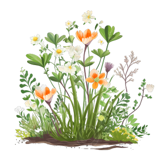 春季小花植物插画素材