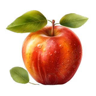 新鲜苹果向量插画图形素材
