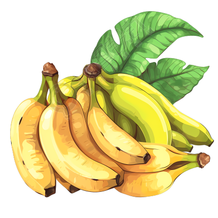 水彩画热带水果香蕉PNG素材