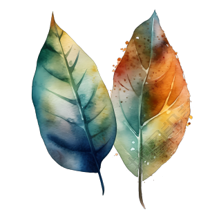 两片水彩叶子PNG图形素材