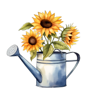 清新水彩风格向日葵花束商用插画