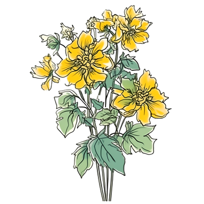 黄色花束透明PNG素材