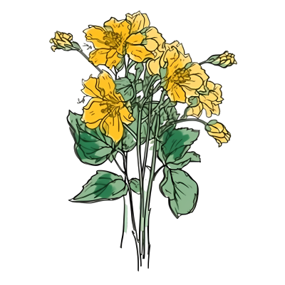 手绘花色鲜花花束高清透明背景插画设计