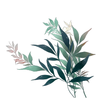 透明背景古风墨渐叶束PNG